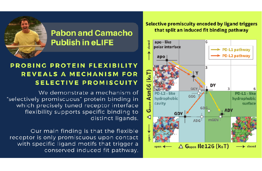 pabon-camacho-mobile.png