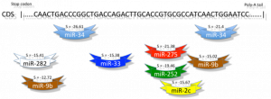 genomics.png